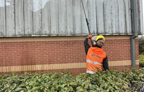 window cleaning